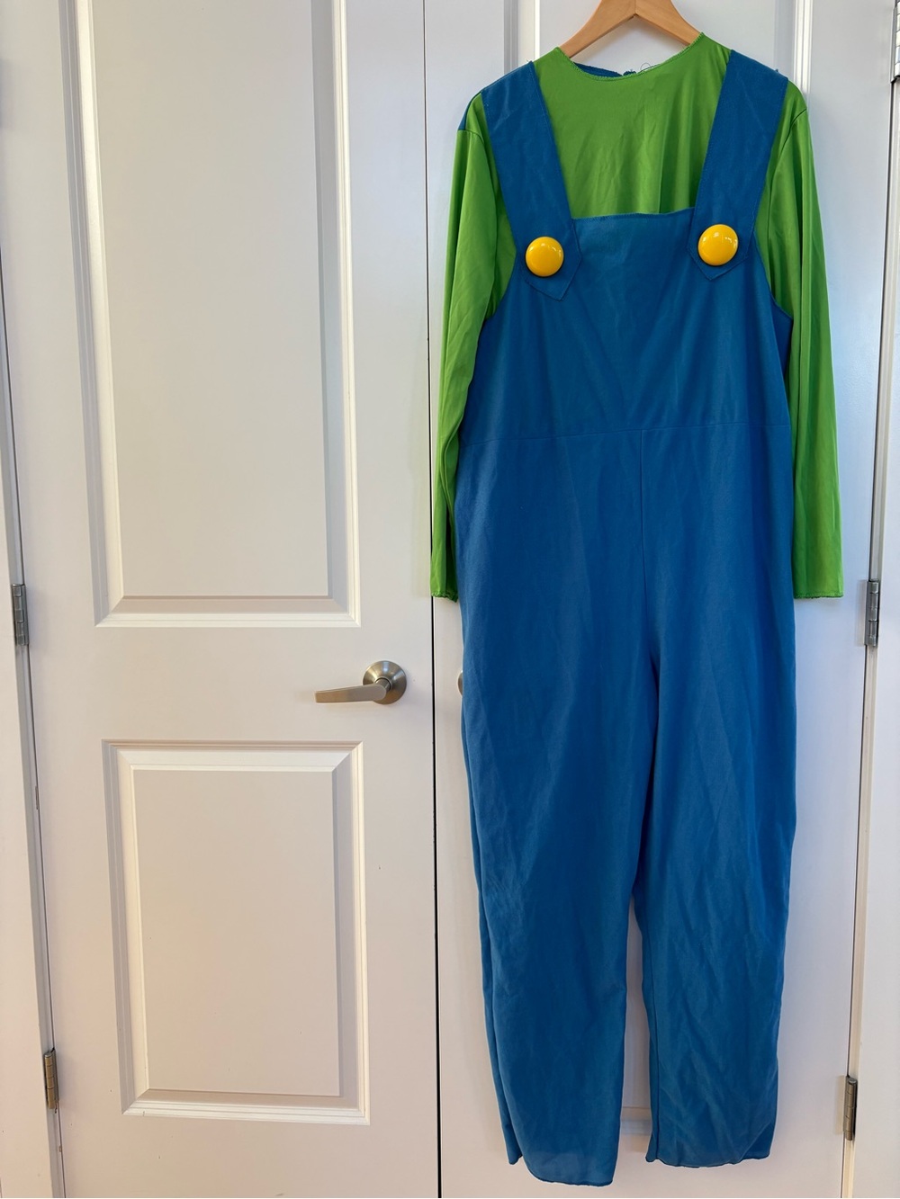 Luigi Super Mario Nintendo Costume XL